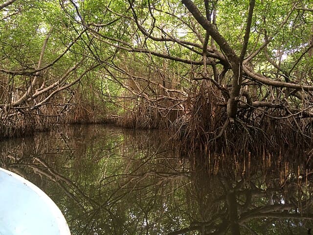 Bentota Lagoon