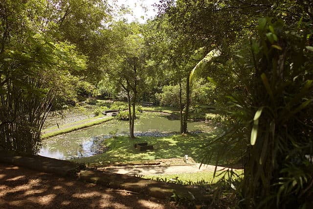 Lunuganga Estate gardens