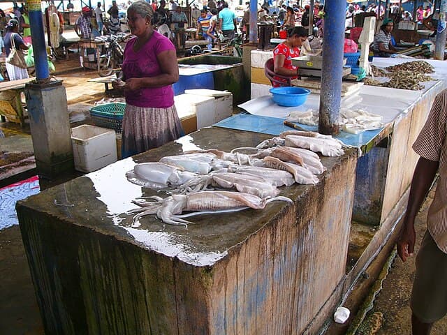 Negombo fish market