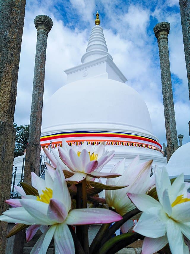 Lotus flowers in front of Thuparamaya stupa