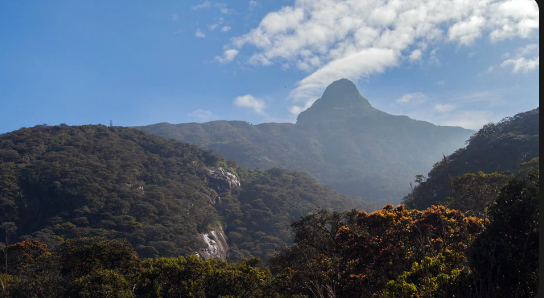 Adam's Peak