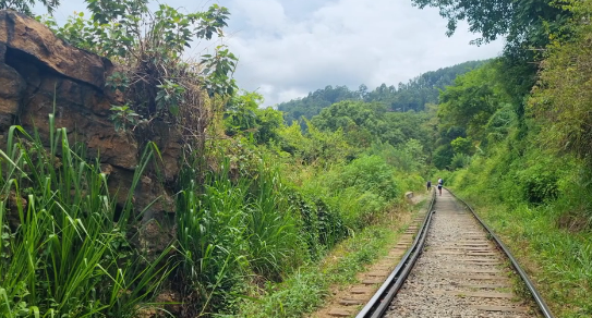 Railway views