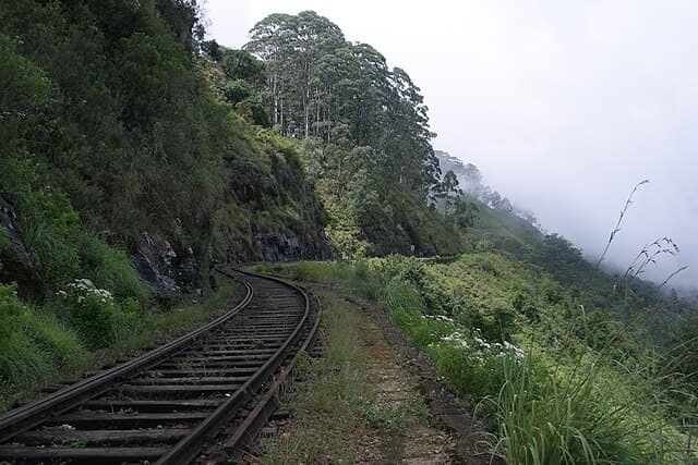 Railway views