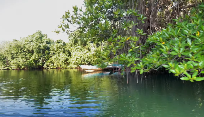 Hikkaduwa lagoon
