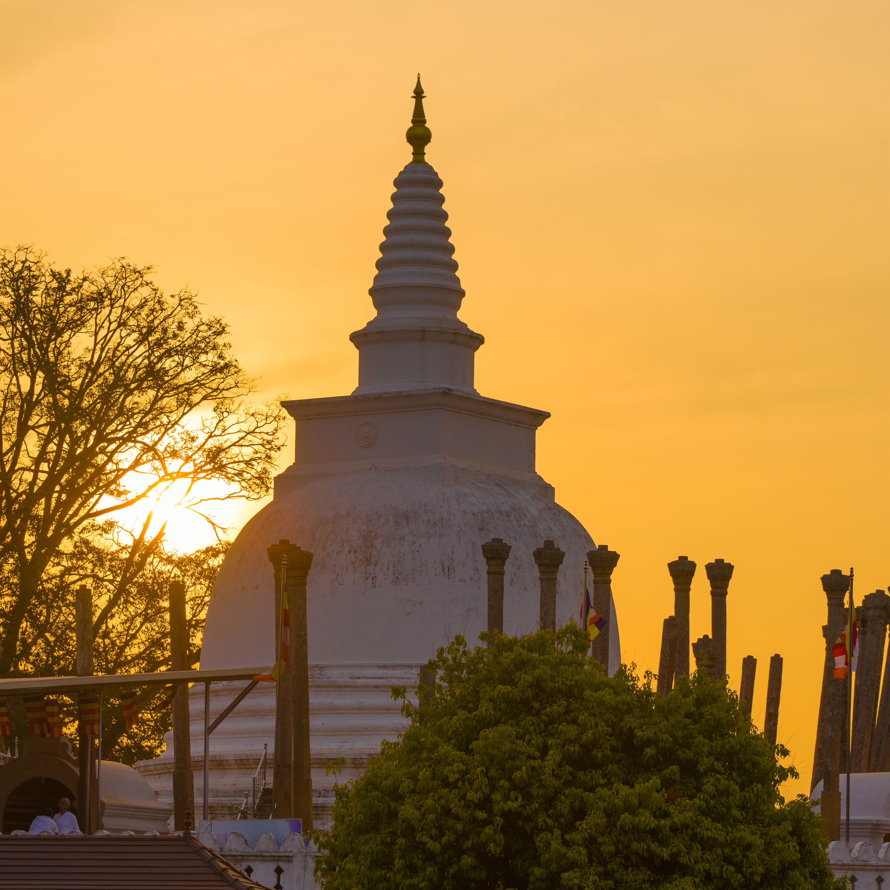 Thuparamaya