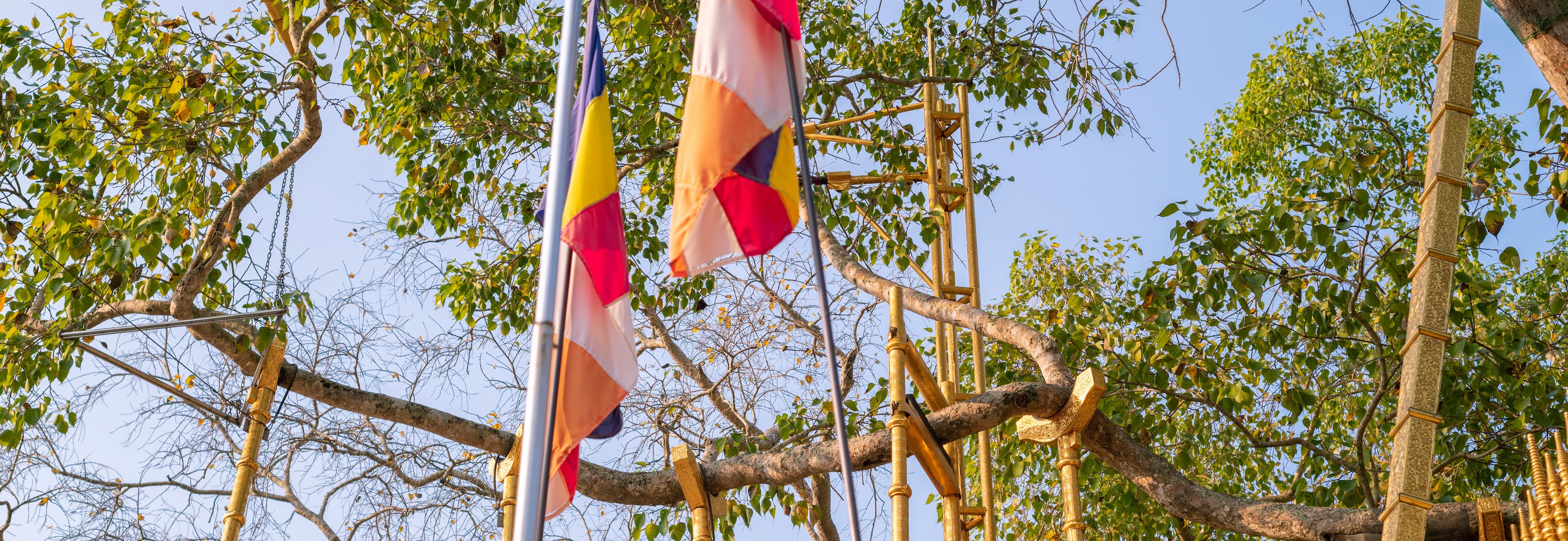 Sri Maha Bodhi