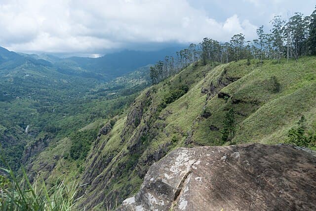 Ella Rock view