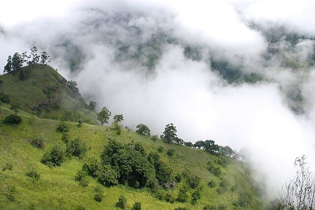Ella hills