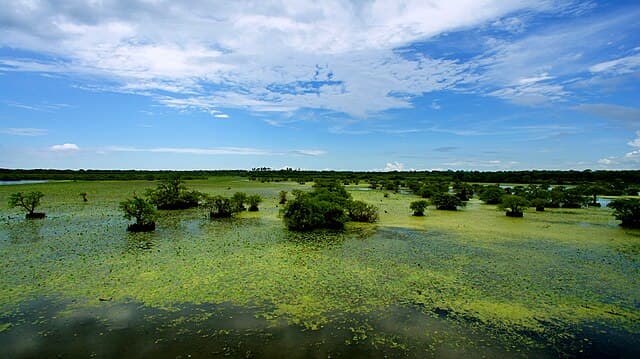 Kumana lagoon