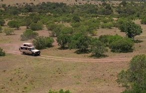 Safari jeep