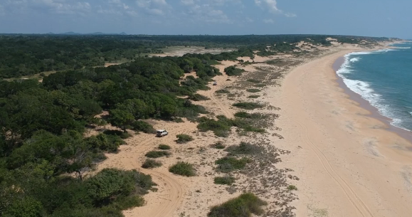 Yala landscape