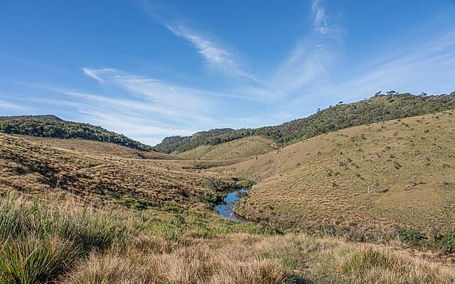 Horton Plains trail