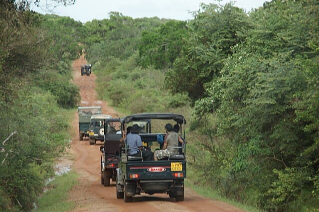 Safari jeep in Yala