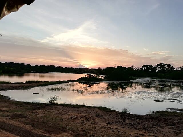 Sunrise safari in Yala